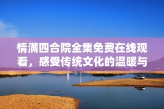 情满四合院全集免费在线观看，感受传统文化的温暖与魅力