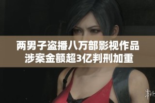 两男子盗播八万部影视作品 涉案金额超3亿判刑加重