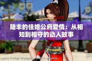 陆丰的佳媳公府爱情：从相知到相守的动人故事