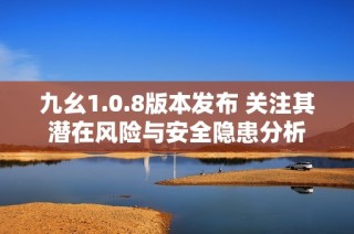 九幺1.0.8版本发布 关注其潜在风险与安全隐患分析