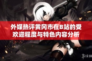 外媒热评黄冈市在B站的受欢迎程度与特色内容分析