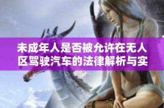 未成年人是否被允许在无人区驾驶汽车的法律解析与实际情况