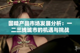 国精产品市场发展分析：一二三线城市的机遇与挑战