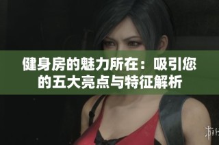 健身房的魅力所在：吸引您的五大亮点与特征解析