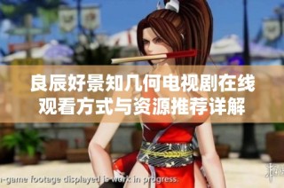 良辰好景知几何电视剧在线观看方式与资源推荐详解