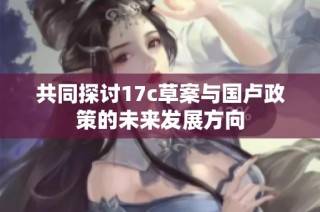 共同探讨17c草案与国卢政策的未来发展方向