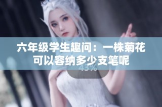 六年级学生趣问：一株菊花可以容纳多少支笔呢