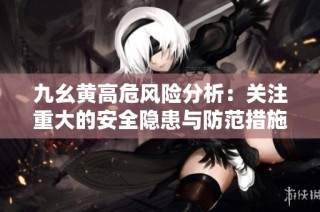 九幺黄高危风险分析：关注重大的安全隐患与防范措施