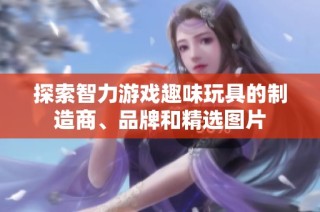 探索智力游戏趣味玩具的制造商、品牌和精选图片
