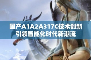 国产A1A2A317C技术创新引领智能化时代新潮流