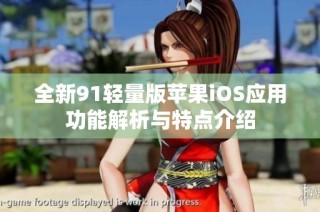 全新91轻量版苹果iOS应用功能解析与特点介绍