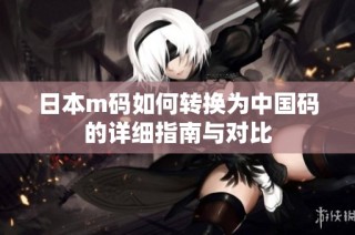 日本m码如何转换为中国码的详细指南与对比