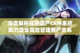 深度解析成熟国产CRM系统助力企业高效管理客户关系