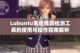 Lubuntu系统线路检测工具的使用与操作指南解析