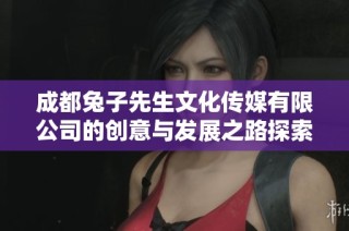 成都兔子先生文化传媒有限公司的创意与发展之路探索