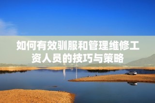 如何有效驯服和管理维修工资人员的技巧与策略