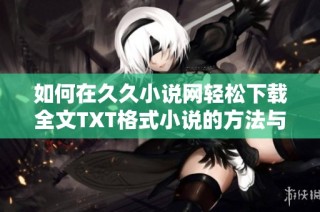 如何在久久小说网轻松下载全文TXT格式小说的方法与步骤