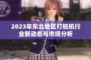 2023年东北地区打桩机行业新动态与市场分析