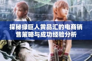探秘绿巨人黄品汇的电商销售策略与成功经验分析