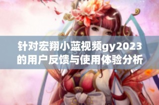 针对宏翔小蓝视频gy2023的用户反馈与使用体验分析