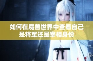 如何在魔兽世界中查看自己是将军还是宰相身份