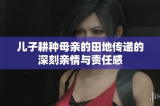 儿子耕种母亲的田地传递的深刻亲情与责任感