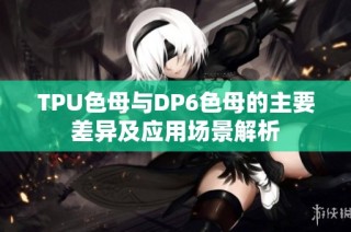 TPU色母与DP6色母的主要差异及应用场景解析