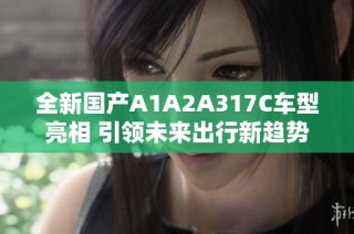 全新国产A1A2A317C车型亮相 引领未来出行新趋势