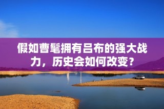 假如曹髦拥有吕布的强大战力，历史会如何改变？