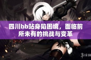 四川bb站身陷困境，面临前所未有的挑战与变革