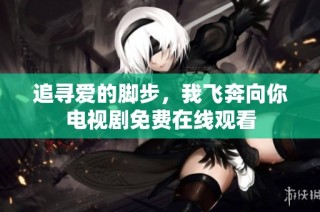 追寻爱的脚步，我飞奔向你电视剧免费在线观看