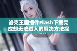 洛克王国插件Flash下载完成却无法进入的解决方法探讨