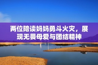 两位陪读妈妈勇斗火灾，展现无畏母爱与团结精神