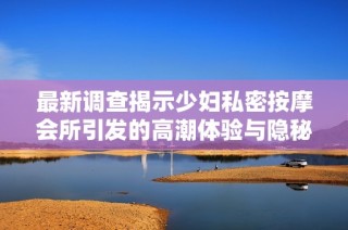 最新调查揭示少妇私密按摩会所引发的高潮体验与隐秘服务