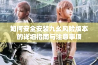 如何安全安装九幺风险版本的详细指南与注意事项