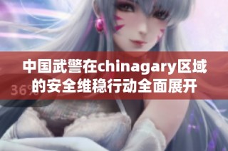 中国武警在chinagary区域的安全维稳行动全面展开