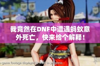 我竟然在DNF中遭遇蚂蚁意外死亡，快来给个解释！