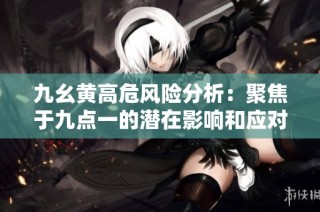 九幺黄高危风险分析：聚焦于九点一的潜在影响和应对策略