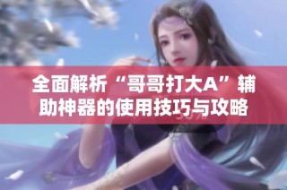 全面解析“哥哥打大A”辅助神器的使用技巧与攻略