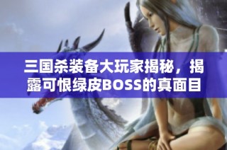 三国杀装备大玩家揭秘，揭露可恨绿皮BOSS的真面目