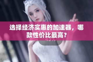 选择经济实惠的加速器，哪款性价比最高？