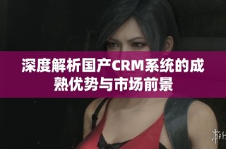 深度解析国产CRM系统的成熟优势与市场前景