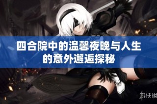 四合院中的温馨夜晚与人生的意外邂逅探秘