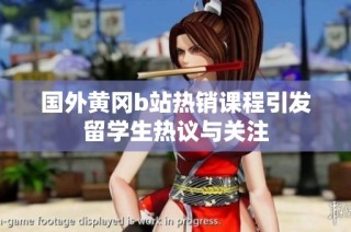 国外黄冈b站热销课程引发留学生热议与关注
