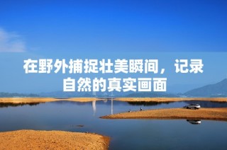 在野外捕捉壮美瞬间，记录自然的真实画面