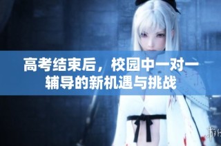 高考结束后，校园中一对一辅导的新机遇与挑战