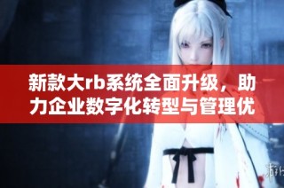 新款大rb系统全面升级，助力企业数字化转型与管理优化
