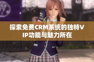 探索免费CRM系统的独特VIP功能与魅力所在