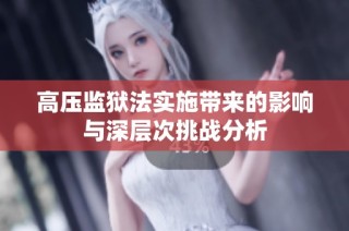 高压监狱法实施带来的影响与深层次挑战分析