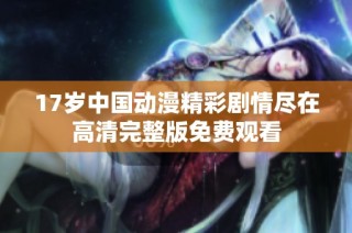 17岁中国动漫精彩剧情尽在高清完整版免费观看